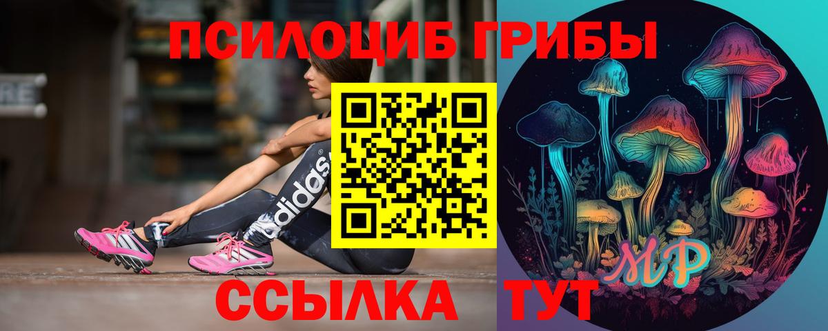 Псилоцибиновые грибы GOLDEN TEACHER  Галлюциногенные грибы Psilocybine cubensis  Вход с VPN  Петропавловск-Камчатский 